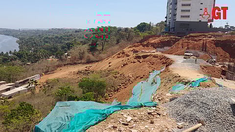 Forest on the hill makes way for construction.