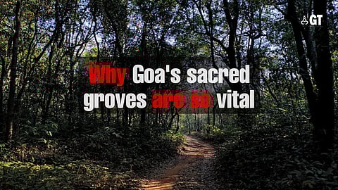 Sacred groves of Goa
