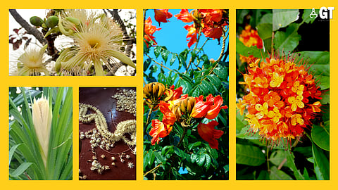 It's that time of the year when Nature is bursting with colour