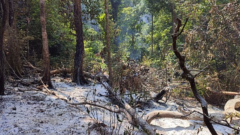 Goa does not have a history of major forest fires.