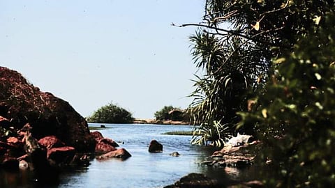 The Arambol sweet water lake in the 90s.