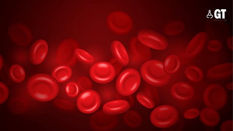 The Hemophilia Society Panjim Chapter is committed to continuing to serve and support those affected by hemophilia in the community.