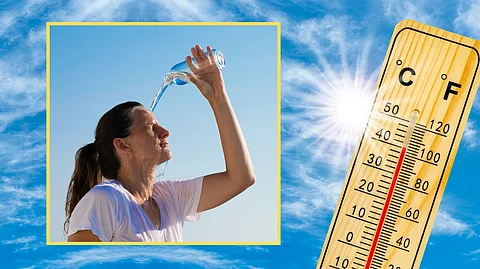 Water alone won't help you survive the searing summer of Goa