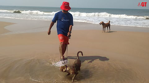 Eleven such trained dogs will now assist the lifeguards in rescue.