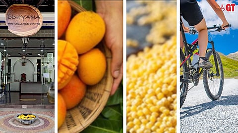 ‘Millets & Mangoes’ will be held at Ddhyana Wellness Centre, Campal, on May 27, 2023