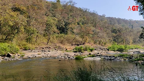 River Mhadei is the lifeline of Goa