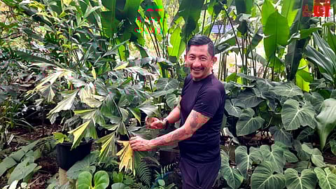 Goa's well-known landscaper Daniel D'Souza.