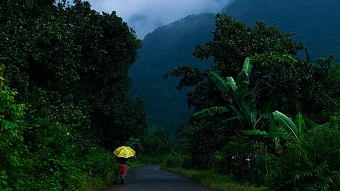This year, the pre-monsoon showers have not been widespread.