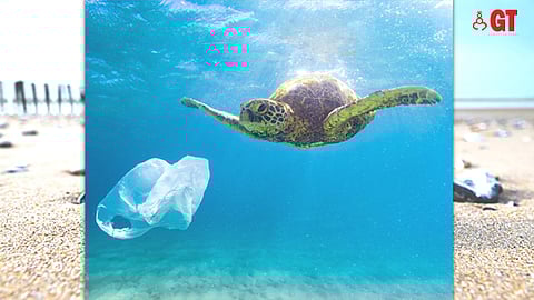 WWF-India, in partnership with Bajaj Finserv, is taking decisive action to address the pressing issue of marine plastics generated by tourism activities in Goa and southern Maharashtra.