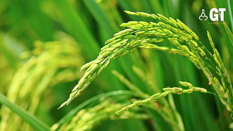 There's much more achieved when more hands are involved.