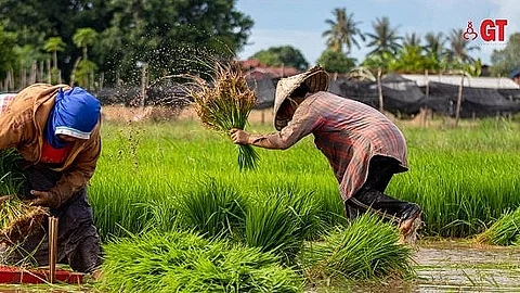 Food and Agriculture Organization and United Nations has recognised 2023 as the 'International Year of Millets'.