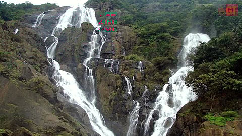 Next time you plan an unregulated trip to the Dudhsagar waterfall, remember that you are part of the problem.