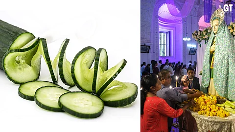 Cucumbers are an important part of the ‘Touxeachem Fest’, which is celebrated in Talaulim, in July