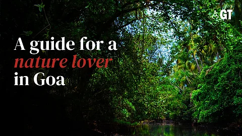 Forget the beaches for now and experience Goa's interiors in the monsoon.