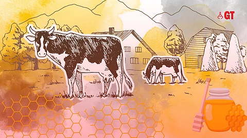 Abselut, a Goa-based brand of farm-to-home natural produce.