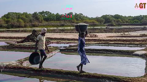 The documentary, Khavtem, revolves around the timeless practice of the khazan system of Goa