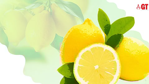 Citrus plants can benefit from the 'bahar' treatment