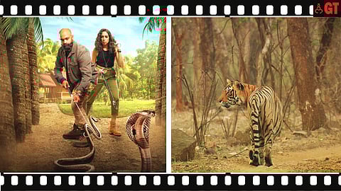 ‘Snakes SOS: Goa's Wildest’ (left) and ‘Looking For Sultan’ (right) will be screened on Oct 4, 2023 at Maquinez Palace