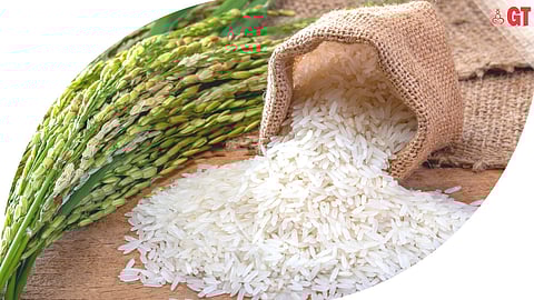 The ‘Harvest Festival’ will be held at the ‘Made In Saligao Market’ in Saligao this Tuesday, Oct 31, 2023