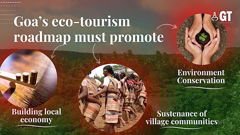 The government will have to employ experts to formulate a clear-cut eco-tourism roadmap.
