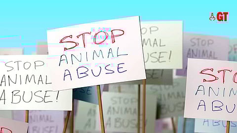 Impact of COP 28 Decisions & Animal Liberation March