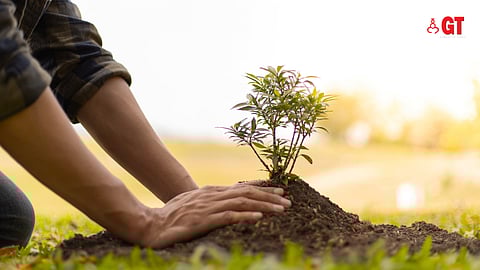 It's important to protect nature while planning development.
