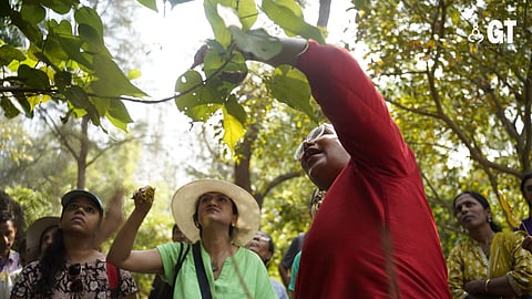 Dr Maryanne Lobo, facilitator of the Mercado workshop ‘Plant Walk’, shows participants the various flora available in Goa at the ongoing Serendipity Arts Festival 2023.
