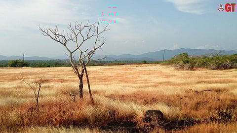 In winter, Bhagwati plateau looks very different compared to its appearance during the monsoons.