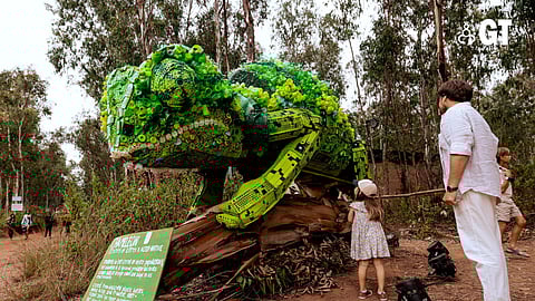 Echoes of Earth - ‘Ensemble of the wild' will focus on sustainable ecotourism and conservation of Goa's rich biodiversity and the Western Ghats.