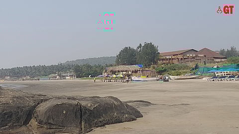 Turtles do not venture into areas where there are rocks on the stretch of Morjim Beach.