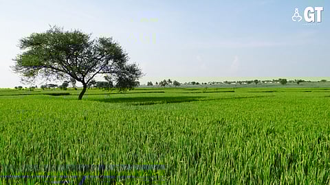 LAND IS ALL WE HAVE: Goans need to safeguard their lands to guarantee a safe future for their generations to come.