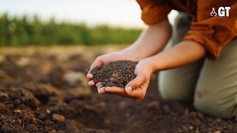 TOTAL BENEFIT: Studies suggest natural farming methods can lead to more flavorful and nutritious food.