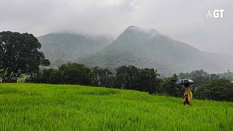 GUSH OF LIFE: The Goan monsoon is a life-giving force for the land that transforms into paradise.