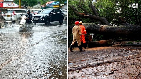 CAUTION, MONSOON AHEAD: Falling trees and disappearing roads are some of the monsoon hazards in Goa.
