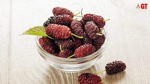 SUPERFOOD: Mulberries are packed with antioxidants and vitamins, which make them great for health.