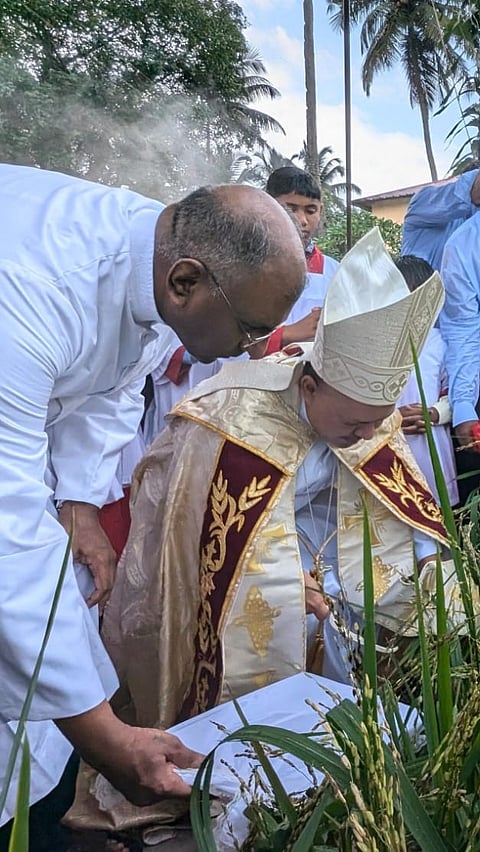Our Lady of Snow| Raia| Konsachem Fest| Village of Goa | Harvest Festival