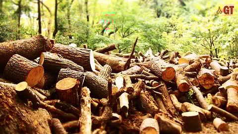 HERE TODAY, GONE TOMORROW: Development has been taking place at a furious pace, razing down hills and forests to erect swank urban projects all over Goa.