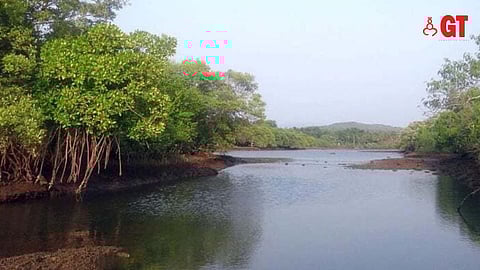 CALM &TRANQUIL: Goa's islands have a serenity that will be destroyed with unneeded development.