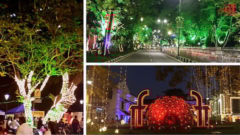 SHINE ON: Come IFFI, and the bright lights of Panjim's streets turn even brighter.