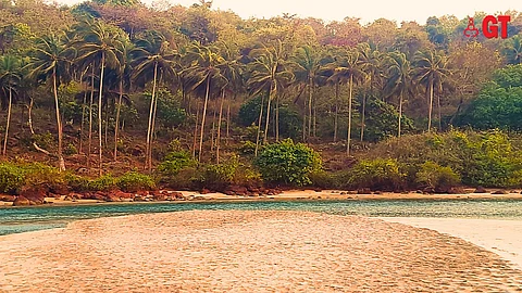 TURTLES BRING PEACE: Galgibaga Beach has been blessed by being declared a turtle nesting site.