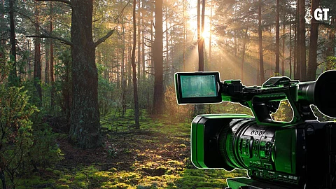 CREATIVE SPACE: Green Stories aims at building a strong community of nature and wildlife documentary filmmakers.