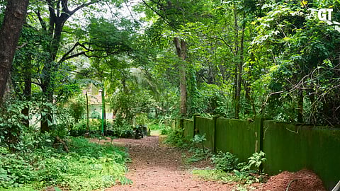 ACT NOW: It is imperative to preserve the true essence of Goa before it is lost forever.