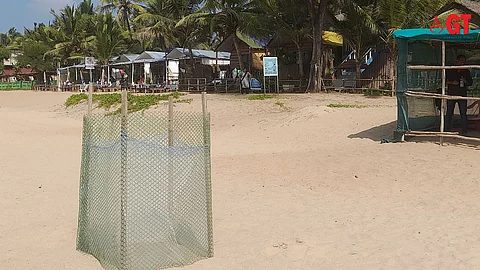 Villagers happy about the appearance of turtle and laying of eggs.