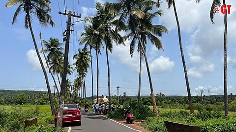 Narrow village road, flanked by paddy fields.