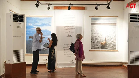 ‘Rain Dogs’ is an exhibition by Rohit Chawla.