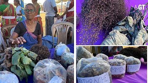 Goa’s traditional remedies on display.
