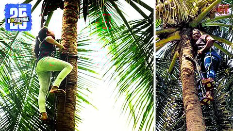 Young agriculture graduates in Goa are using modern tools to climb coconut trees.