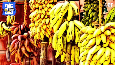 A variety of bananas are grown in Goa.
