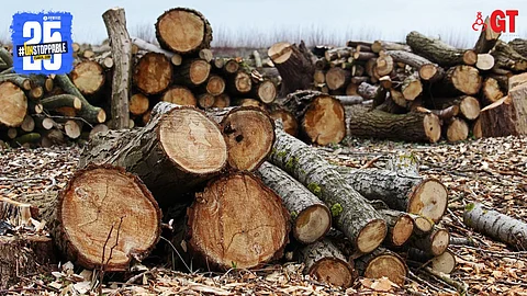 The illicit trade of khair wood in Goa.