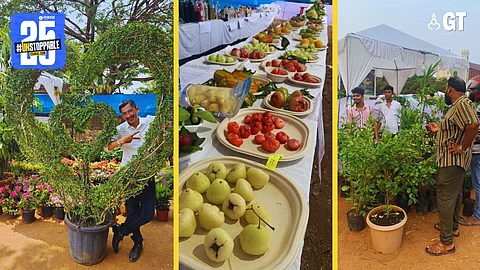 NATURE'S BOUNTY: It's that time of the year to enjoy the seasonal bounty of fruits and walk away home with sweet memories.